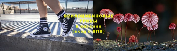 винт Инта