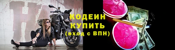 скорость Каменка