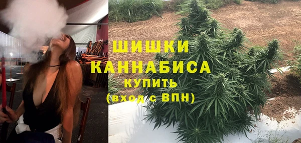 винт Инта