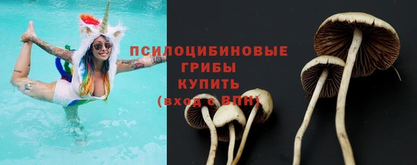 спайс Инсар