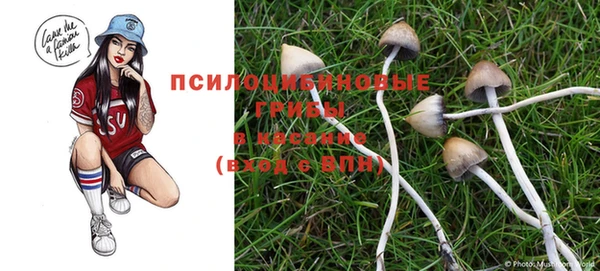 спайс Инсар