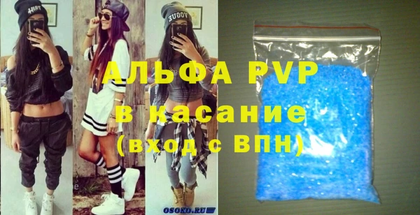 винт Инта