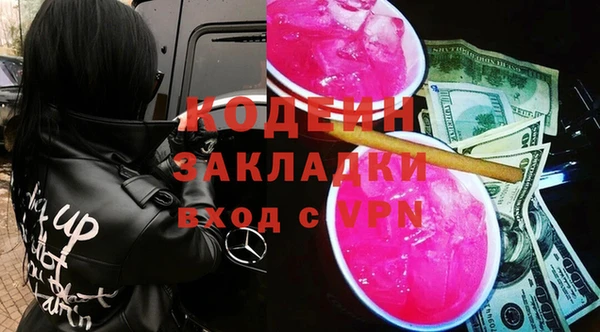 винт Инта