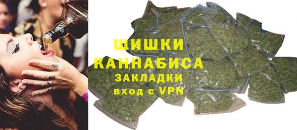 скорость Каменка