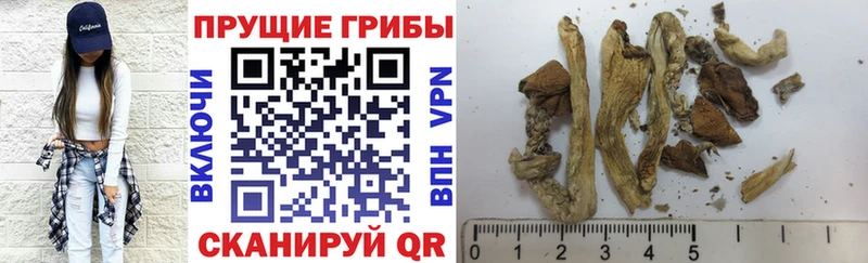 мега сайт Кола Псилоцибиновые грибы прущие грибы